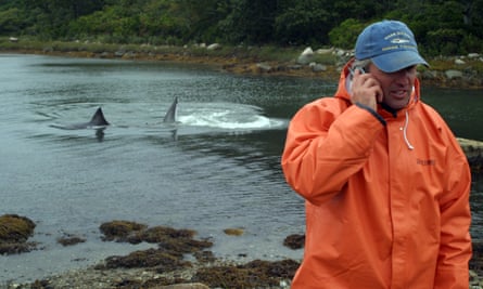 Greg Skomal explica cómo ayudar a un gran tiburón blanco, llamado Gretel, que nadó en aguas poco profundas frente a la isla de Naushon en 2004.