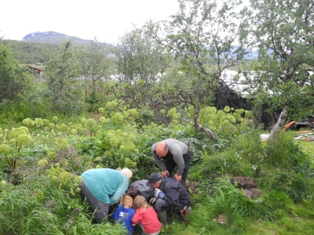 Los investigadores muestran muestras de compost a los residentes del Parque Nacional Padjelanta, Suecia.