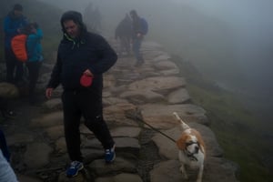Un hombre baja a su perro desde la cima del Snowdon.