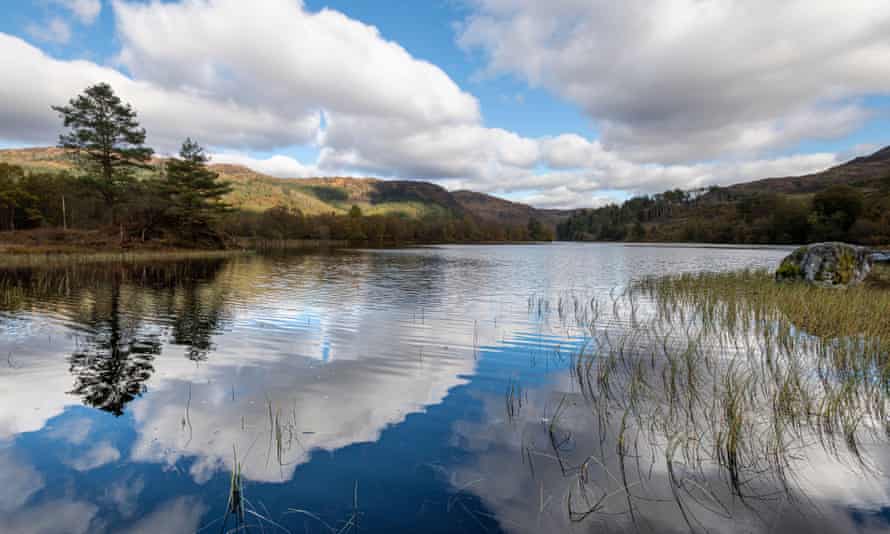 Loch Trool, Galloway Forest Park en un brillante día de otoño